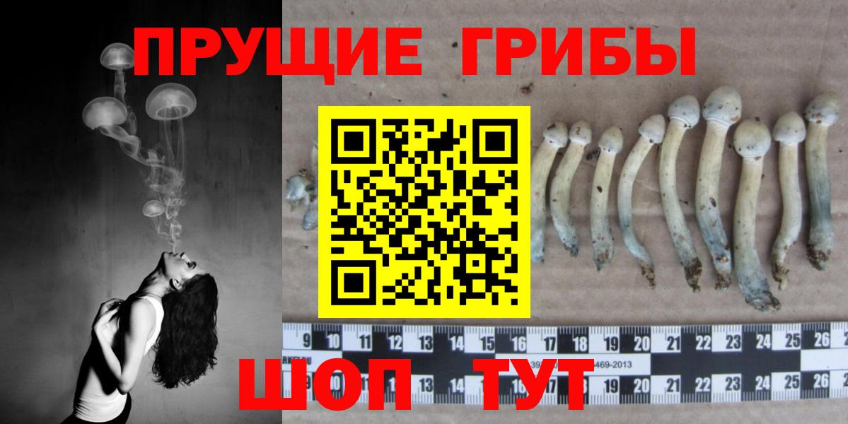 Галлюциногенные грибы Magic Shrooms Аксай